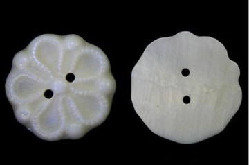 Different Types Of flower shell button