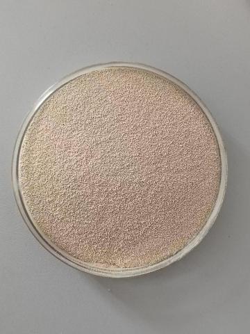 Saccharomyces cerevisiae protein 40%