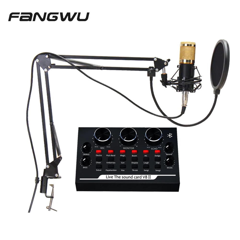 Professional Bm800 Recording Microphone With Sound Card Set