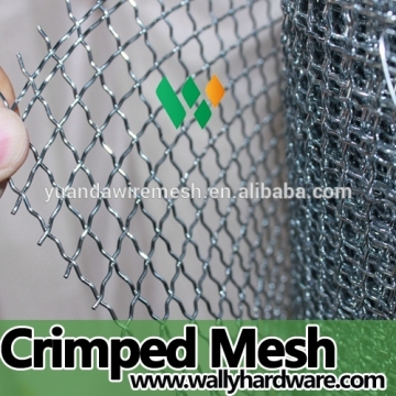 Black Annealed Crimped Square Wire Mesh Manufacture ISO9001:2000