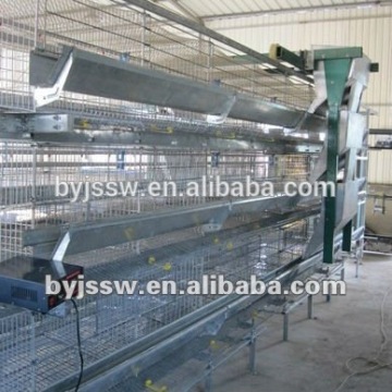 automatic layer poultry cages