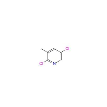 2,5-Dichloro-3-methylpyridine Pharmaceutical Intermediates