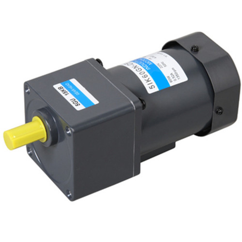 Single Phase 60W High Torque Reversible Gear Motor