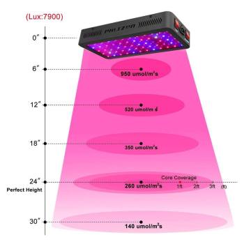 600W LED Plants Indoor Plant Hydroponic Fresh Light