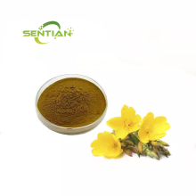 Evening Primrose Extract Sale