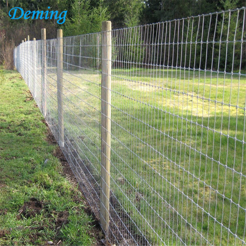 Hot Sale High Quality Field Fence