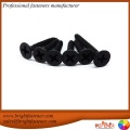 DIN18182 Dry Wall Screw in Black