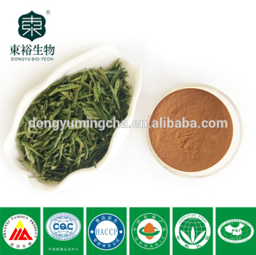 Green tea extract where can i buy green tea extract