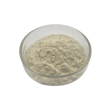 Food Enzyme Amylase High Low Amylase For Daliy
