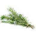 Rosemary extract 10% HPLC