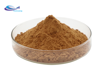 sell Salvia Miltiorrhiza Extract Powder