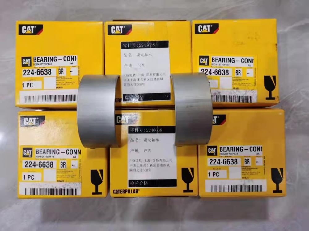 224 6638 Jpg 224 6638 Jpg