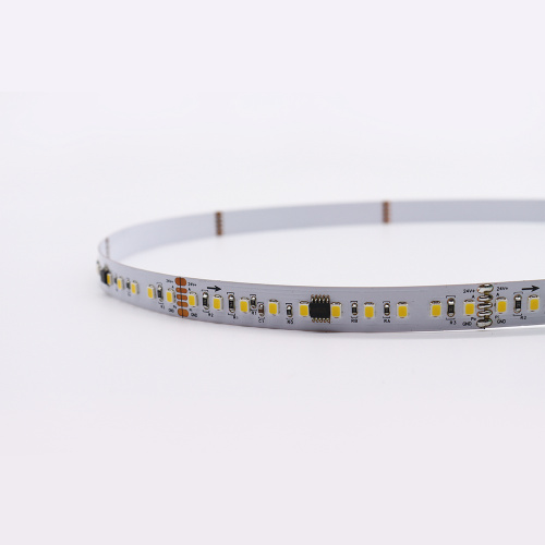 12 mm DMX512 2835 120leds/m koud witte strip licht adresseerbaar LED pixel tape licht