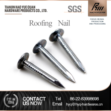 Bituminous roofing felt nails decorative roofing felt nails