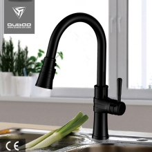 High Arc One-Handle Kitchen Sink Faucet With Spray