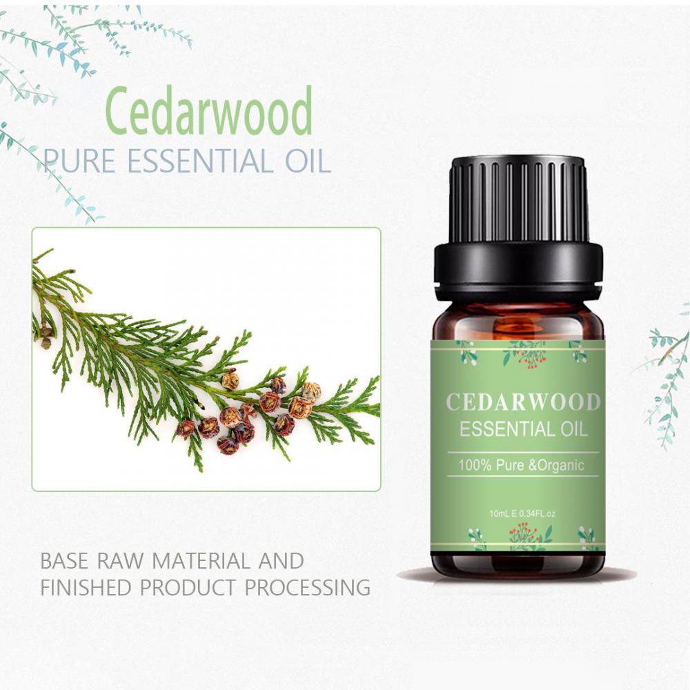 العلاج العلاجي للزيوت العطرية من طراز Cedarwood لنمو الشعر