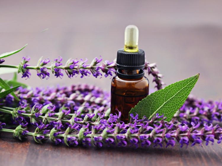 grado terapeutico dell&#39;olio essenziale di salvia