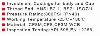Y Type Strainer Threaded 800psi/Pn40 Wcb/CF8/CF8m/CF3m ANSI B2.1/ BS21/ISO7/1