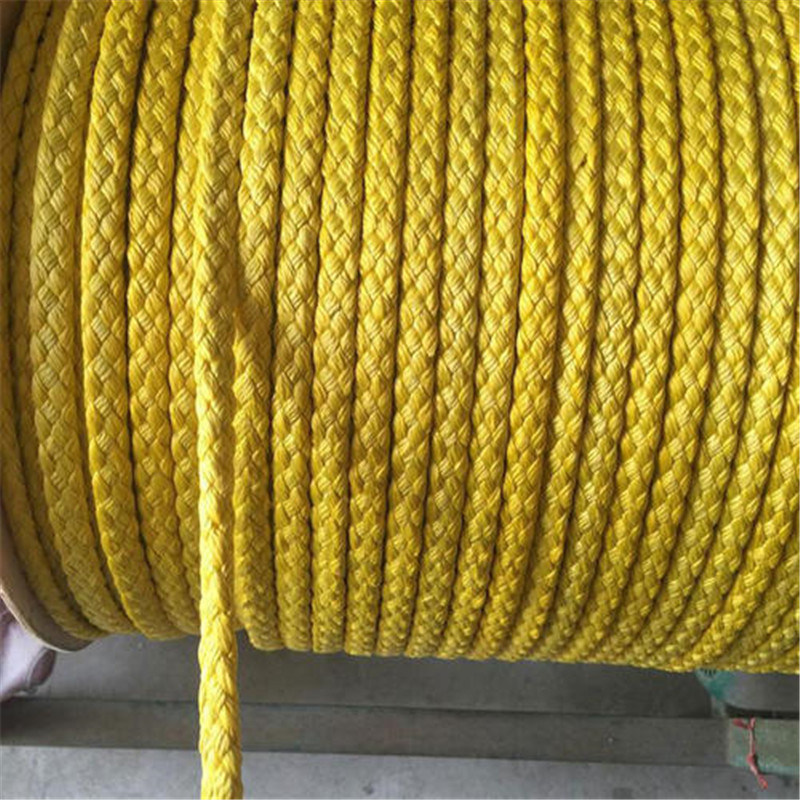Polyester Carrier Rope For Paper Machine