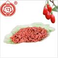 Premium Goji-bessen Gedroogd fruit Goji-bessen