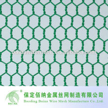 The chaepest Chicken Hexagonal Knotted Wire Mesh