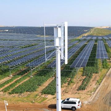 5KW 220V On Grid / Off Grid Wind Generator Power System