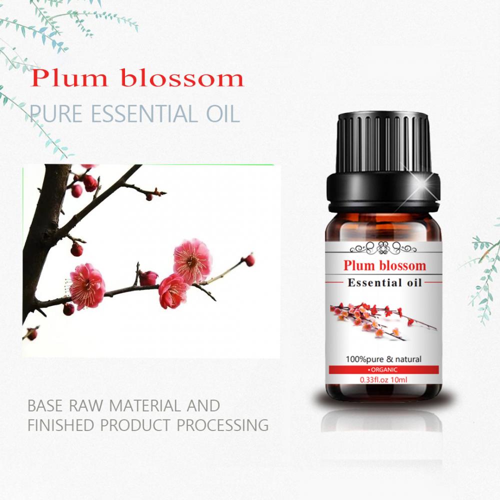 Aceite de masaje corporal de 10 ml Aceite esencial de flor de ciruela para el cuidado del cuerpo de la piel