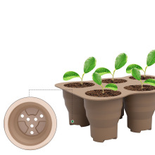 Green Buy Clear Plastic Square Succulent Pots for Plants