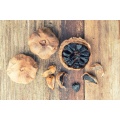 Designer Foods Program for black garlic