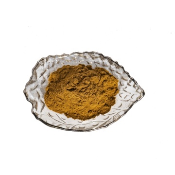 Sea Buckthorn Extract Powder Hippophae Rhamnoides Powder