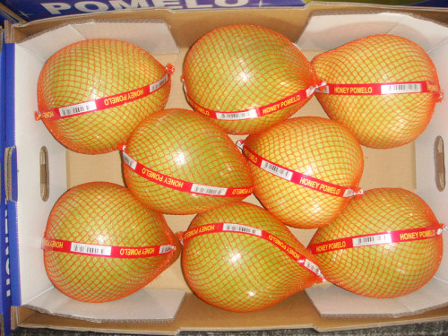 pomelo fresco fujiano con scatola aperta