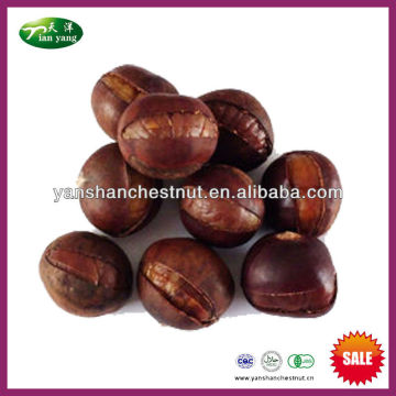 Sell Chinese Frozen Ringent Roasted Chestnuts (IQF)