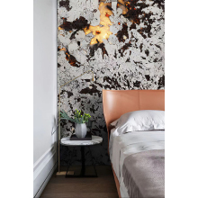 Natural Brazilian Quartzite Slabs Silver Fox Backlit Quartzite Table Top