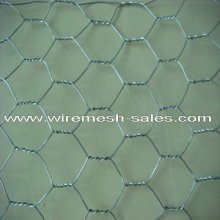 PVC coated & galvanized hex wire mesh