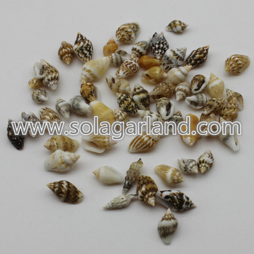 Ciondoli di perline di conchiglia di mare a spirale naturale da 6-16 mm piccoli