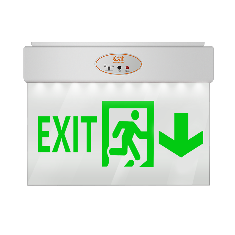 Exit Light