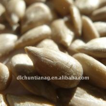 Organic chinese sunflower seed kernels