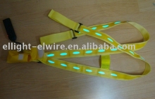 EL Safety belt,EL sheet,EL light,EL advertisement,EL poster, EL Panel,EL Car Sticker,EL light,EL backlight,EL T-shirt,EL gauge