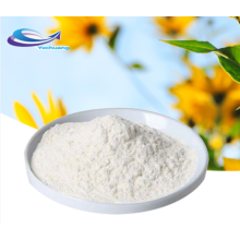 supply inulin 100% natural chicory root fiber