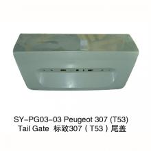 Peugeot 307 Tail Gate