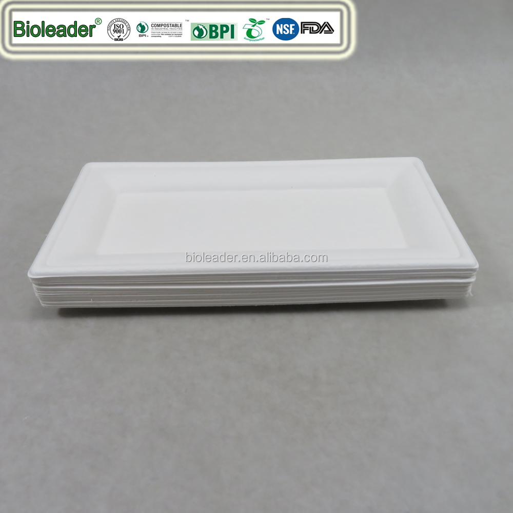 Bagasse Rectangular Plate Biodegradable Disposable Plate