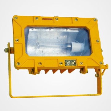 Explosion proof Flood Light