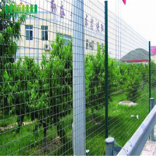 PVC bersalut Holland Euro Wire Mesh pagar murah