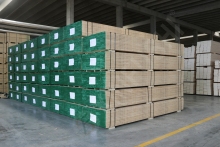 LVL Scaffold Board Osha