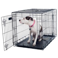 high quality hot sale cheap outdoor dog kennel