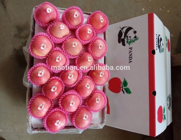 2016 New Season Crisp & Juicy Red Fuji Apple Fruit