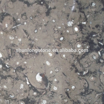 Ocean Fossil Dark marble tile,Grey marble slab