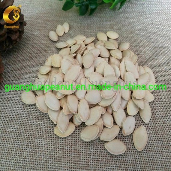 New Crop and Best Quality Shine Skin Pumpkin Seeds