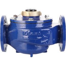Rotary water meter