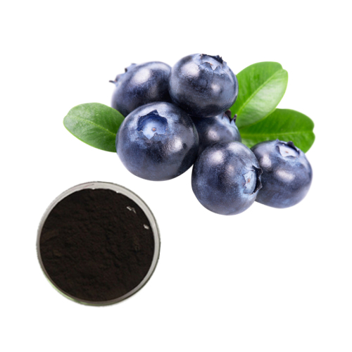 Natural Color vaccinium myrtillus extract